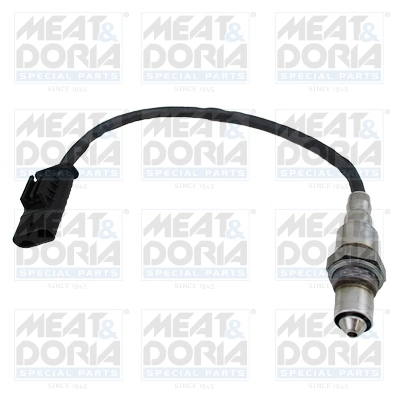 Oxygen Sensor